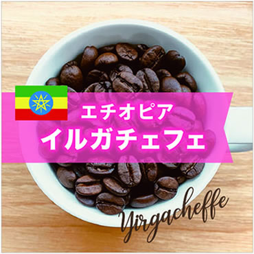 イルガチェフェ